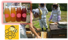 Bee(蜂) Ambitious!~養蜂を利用した「第3のみつ」の商品開発~