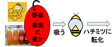 Bee(蜂) Ambitious!~養蜂を利用した「第3のみつ」の商品開発~