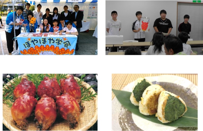 伊達な ほやむすび(ホヤの国内消費拡大に向けた気軽に食べられる新商品の開発)