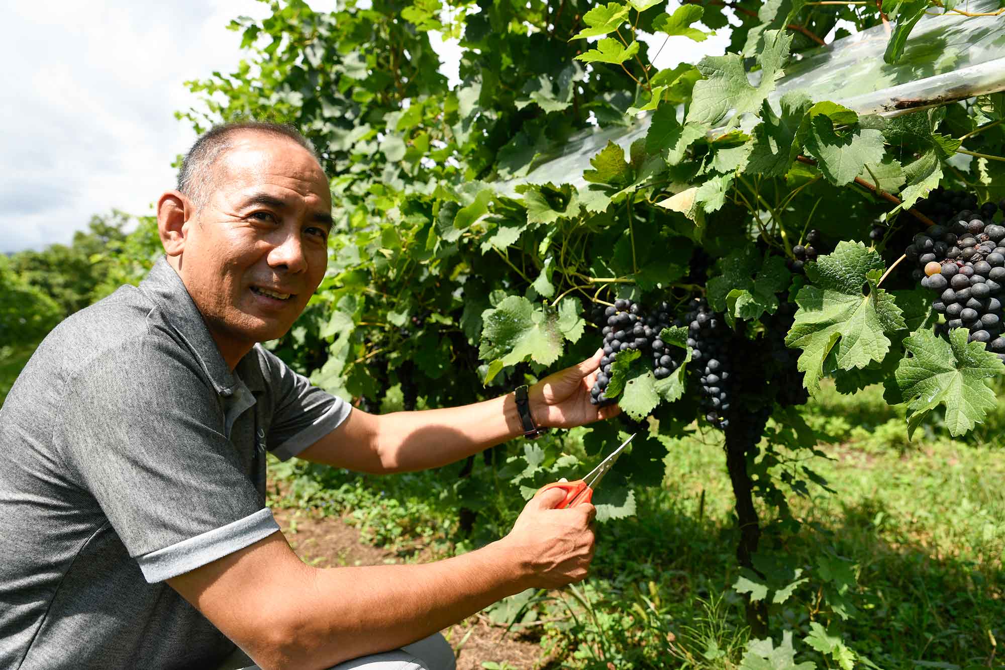 特集:東北観光の未来
