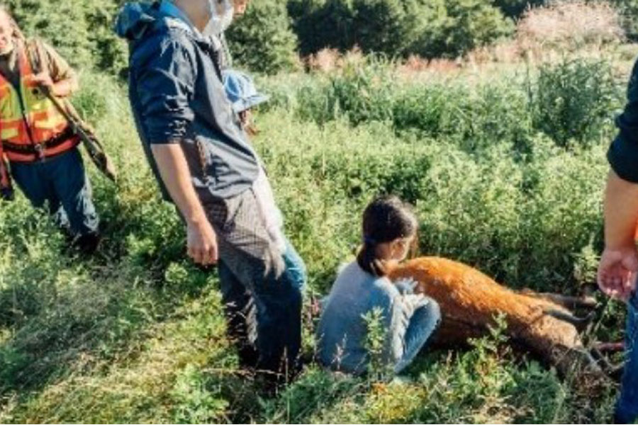 株式会社 雨風太陽(花巻市)