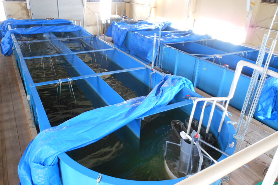 株式会社 ニューフロンティア(田村市)